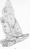 394-3