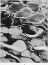 394-1
