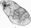 394-3