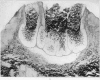 394-1