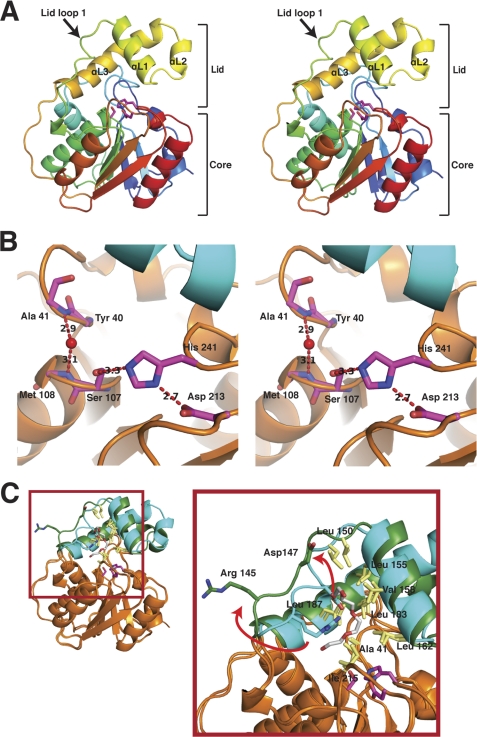 FIGURE 3.