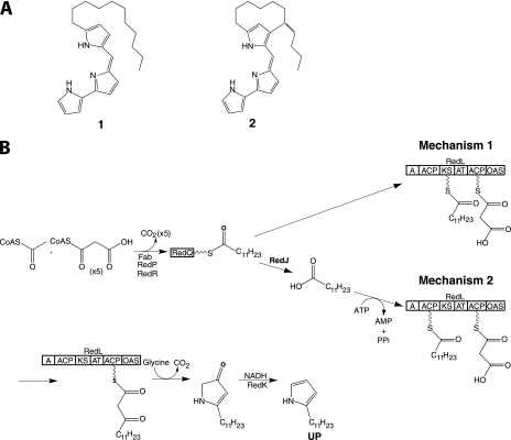 FIGURE 1.