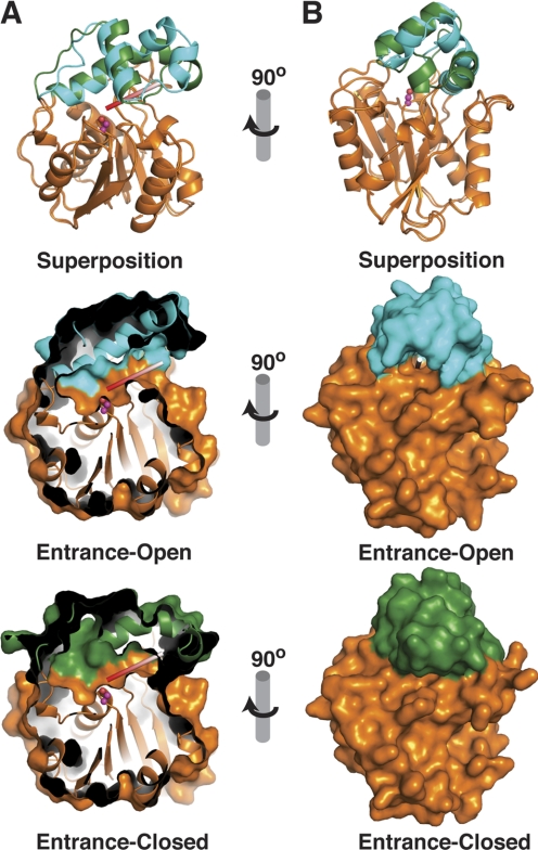 FIGURE 4.