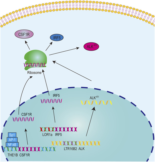 FIGURE 3