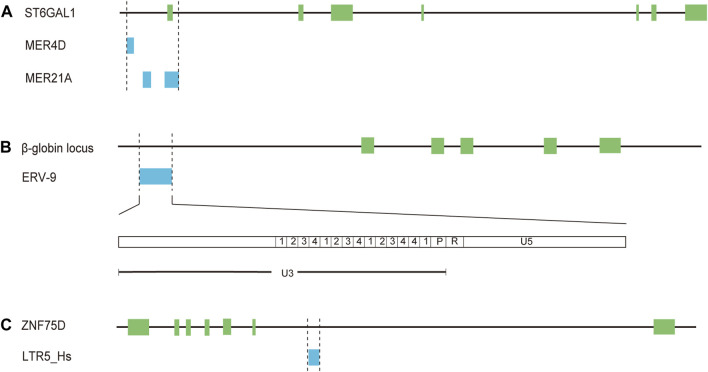 FIGURE 2