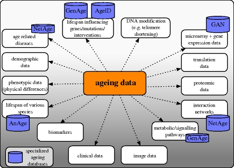 Figure 2.