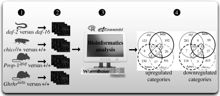 Figure 5.