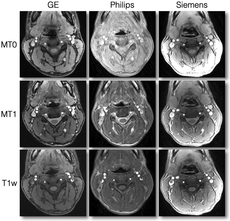 Figure 12.