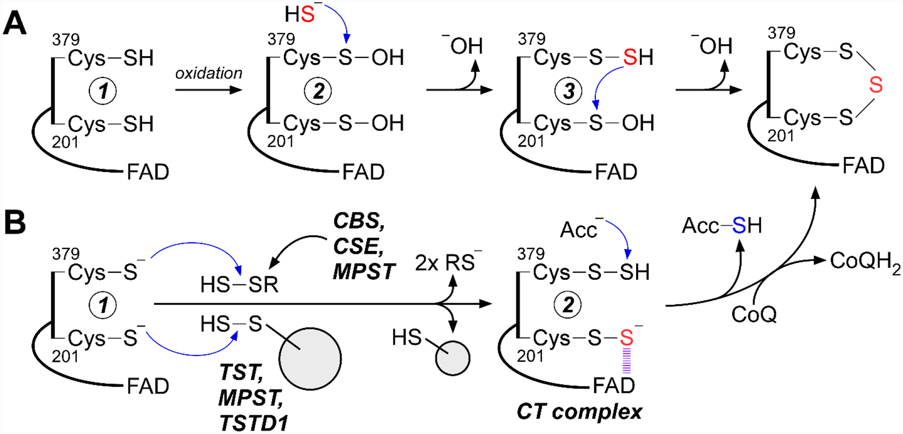 Figure 5.