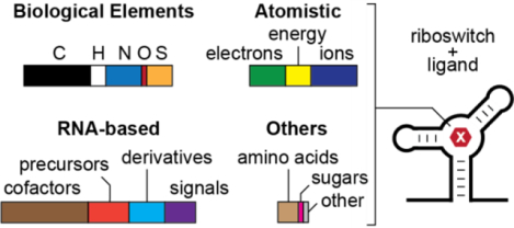 graphic file with name nihms-1874603-f0001.jpg