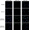 FIG. 6.