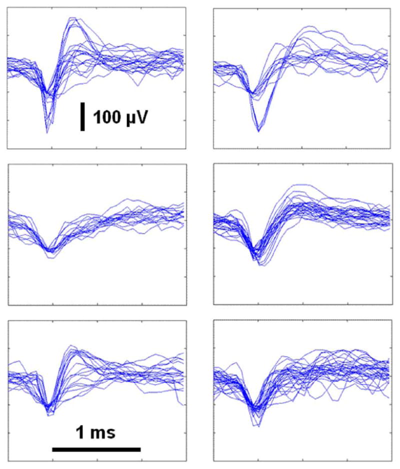 Fig. 10