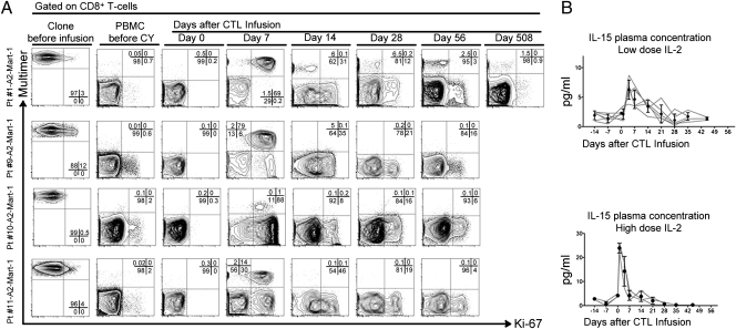 Fig. 5.