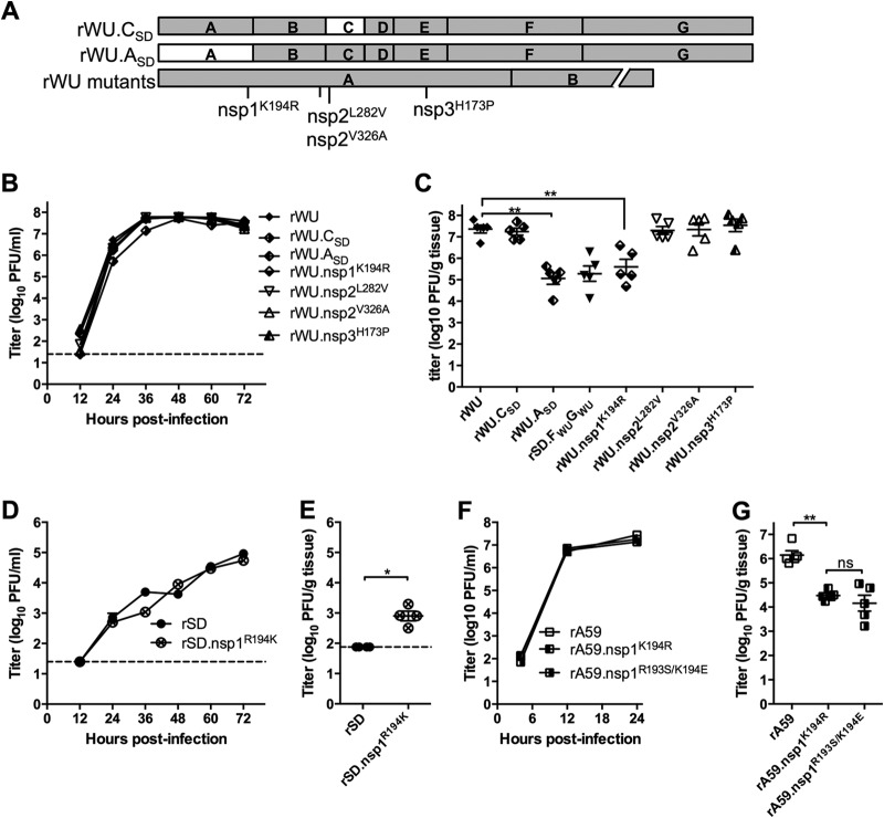 FIG 6