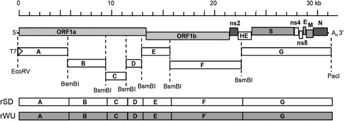 FIG 1