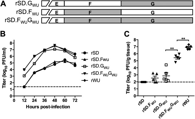 FIG 4