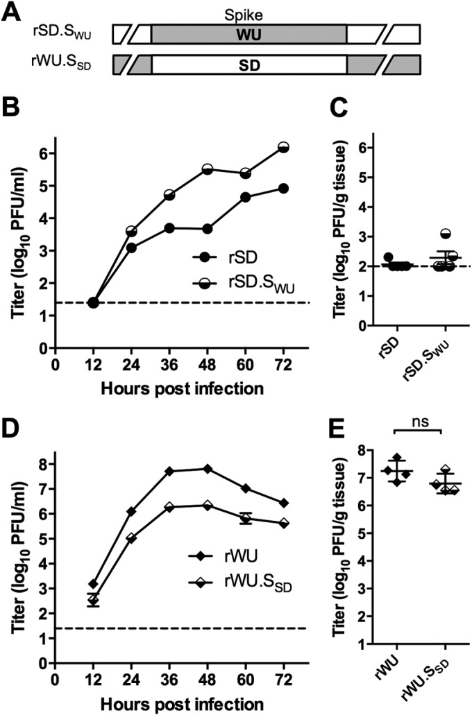 FIG 3