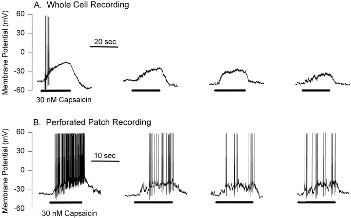 Fig. 10.