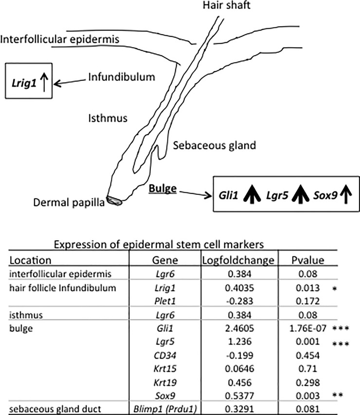 Fig 8