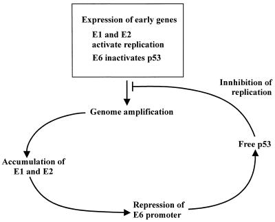 FIG. 7