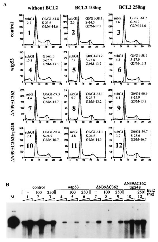 FIG. 6