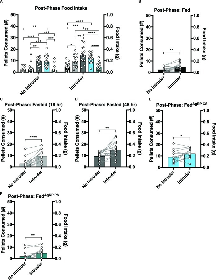 Figure 2—figure supplement 3.