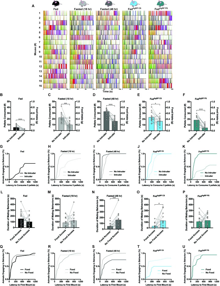 Figure 2—figure supplement 2.