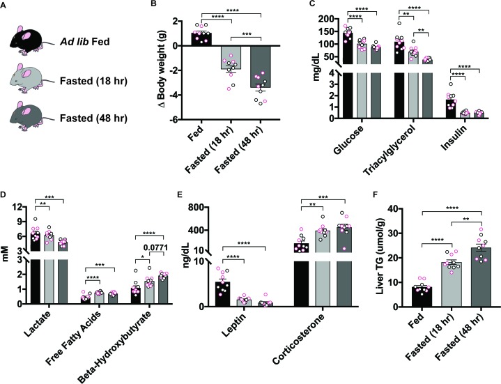 Figure 1—figure supplement 1.