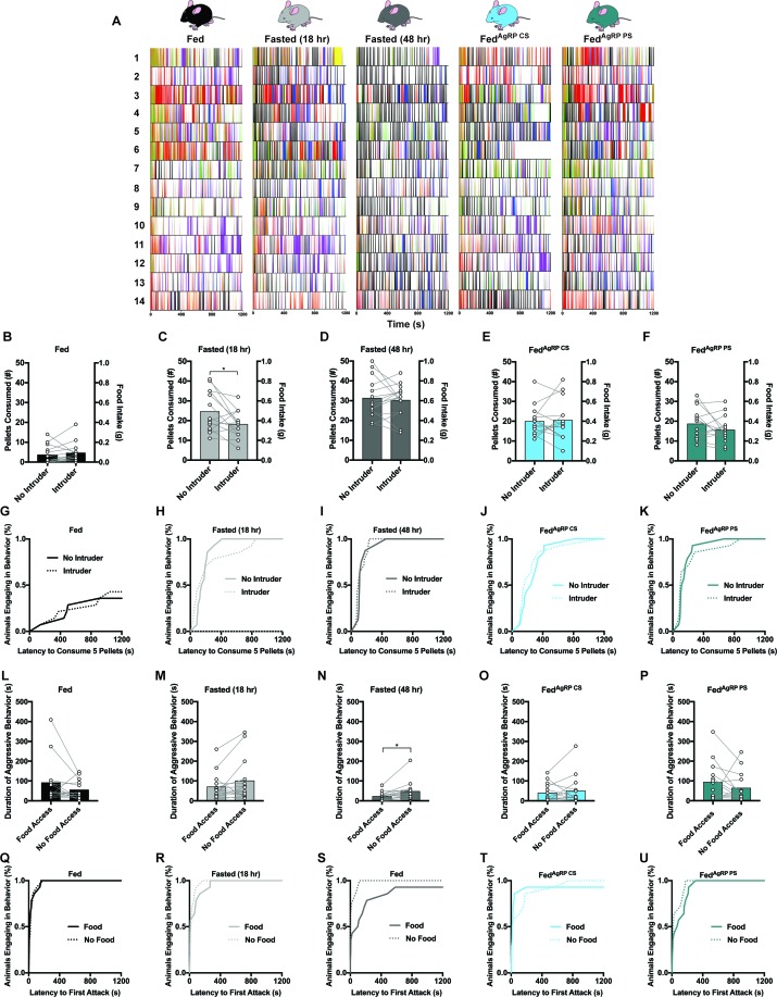 Figure 5—figure supplement 1.