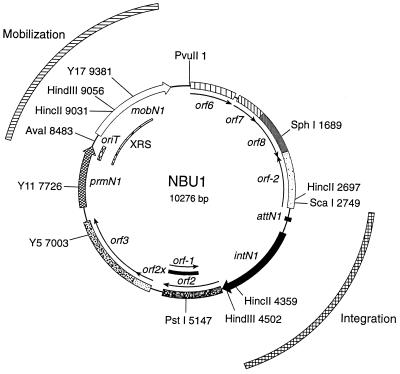 FIG. 1