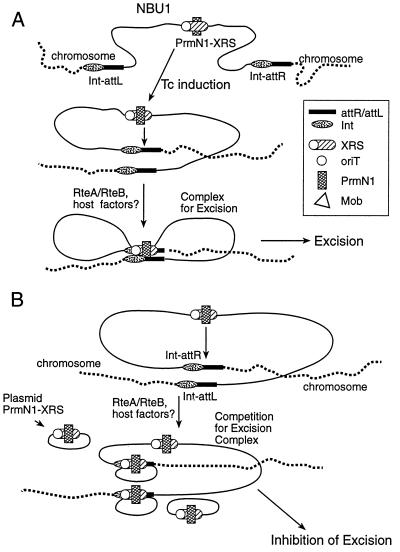 FIG. 4