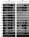 FIG 3