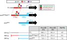 FIG 6