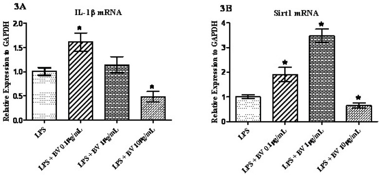 Figure 3 (3A and 3B)