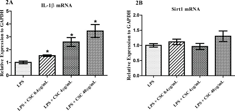 Figure 2 (2A and 2B)