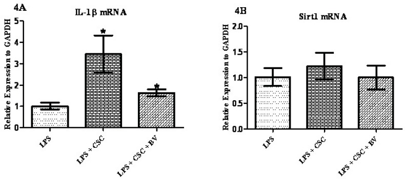 Figure 4 (4A and 4B)