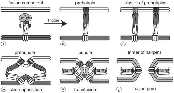 Fig. 2.2