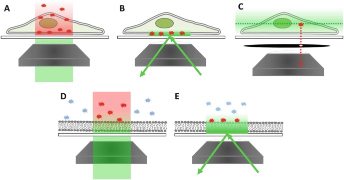 Fig. 2.3