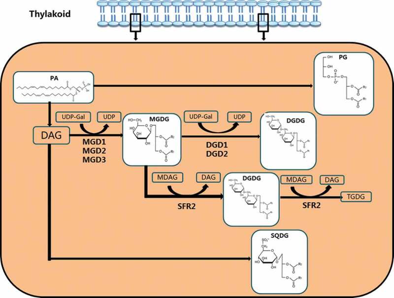 Figure 2.