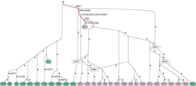 Fig. 3.