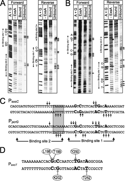 Fig 9