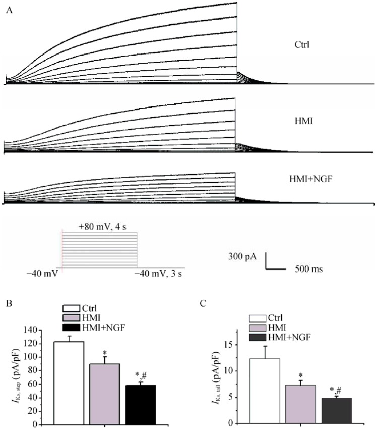 Figure 7.