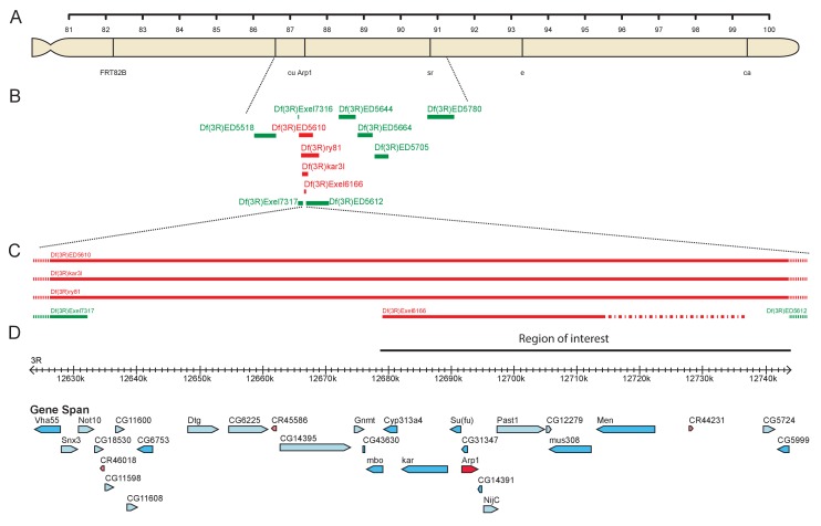 Figure 3—figure supplement 1.