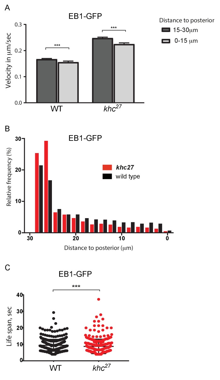 Figure 7—figure supplement 1.