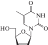 Antiviral and Antimicrobial Nucleoside Derivatives: Structural Features ...