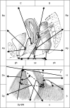 FIG. 3