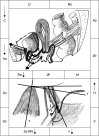FIG. 5