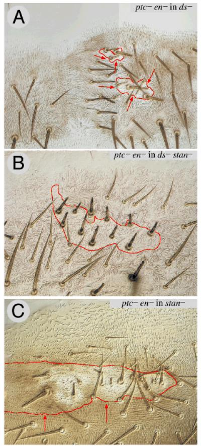 Figure 6