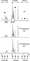 Fig 7