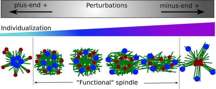 FIGURE 5: